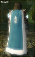 Cloak of Valor (worn)