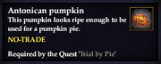An antonican pumpkin