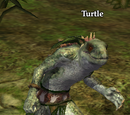 Turtle