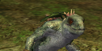 Turtle