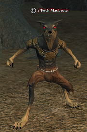 A Tesch Mas brute