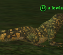 A lowland gecko