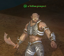 A Vallon prospect