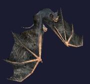 A nektropos nightflyer (Visible)