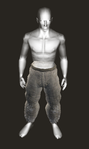Captain Varlos - Replica Placed