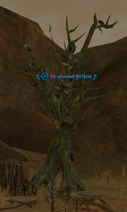 Deadwood Bellow