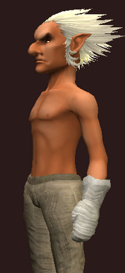 Knight's Gauntlets of the Warleader (Equipped)
