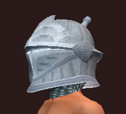 Acolyte's Wrought Plate Barbute (Equipped)