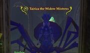 Tariza the Widow Mistress