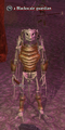 A Blackscale guardian.png