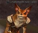 A Sabertooth rune caster