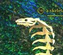 A skeletal cobra