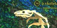A skeletal cobra