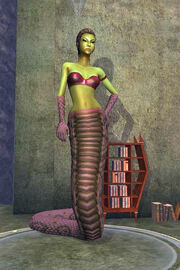 Sshi'vaez the Studious