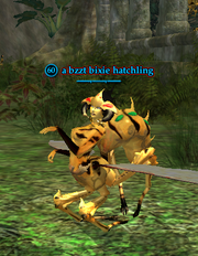 A bzzt bixie hatchling