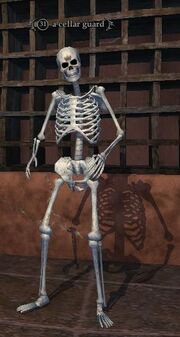 A cellar guard