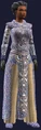 Icespun (Armor Set) (Visible).jpg