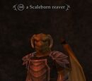 A Scaleborn reaver