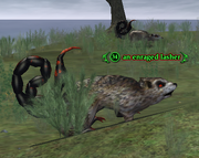 An enraged lasher