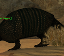 Dune Digger