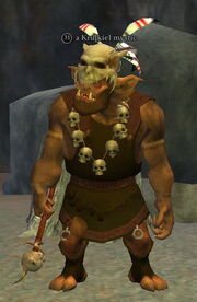 A Krulkiel mystic