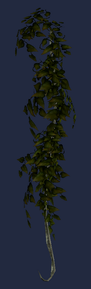 Dark Hanging Vine (Visible)