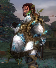 Earth Runed Shield