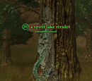 A spirit lake rivulet