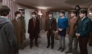 Los Siete Potters.jpeg