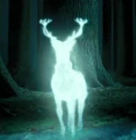 P3 Ciervo - Patronus Harry.jpg