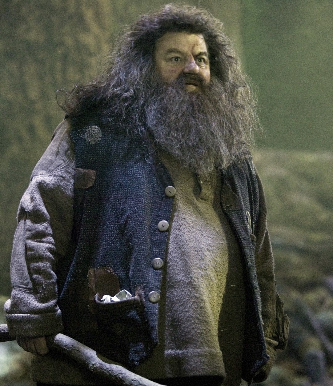 Rubeus Hagrid Harry Potter Wiki Fandom powered by Wikia