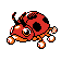 Ledyba plata
