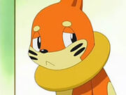 EP504 Buizel deprimido.jpg