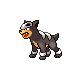 Houndour DP