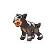 Houndour DP