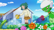EP619 Forsythia.png