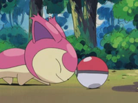 EP323 Skitty tocando la Pokéball.png