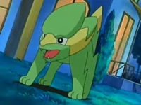 http://vignette4.wikia.nocookie.net/es.pokemon/images/7/73/EP511_Electrike_(2).png/revision/