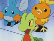 EP310 Iniciales de Hoenn