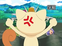 EP552 Meowth criticando a Jessie y James.jpg