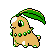 Chikorita oro