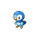 Piplup DP