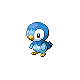 Piplup DP