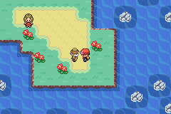Aquarinto.gif