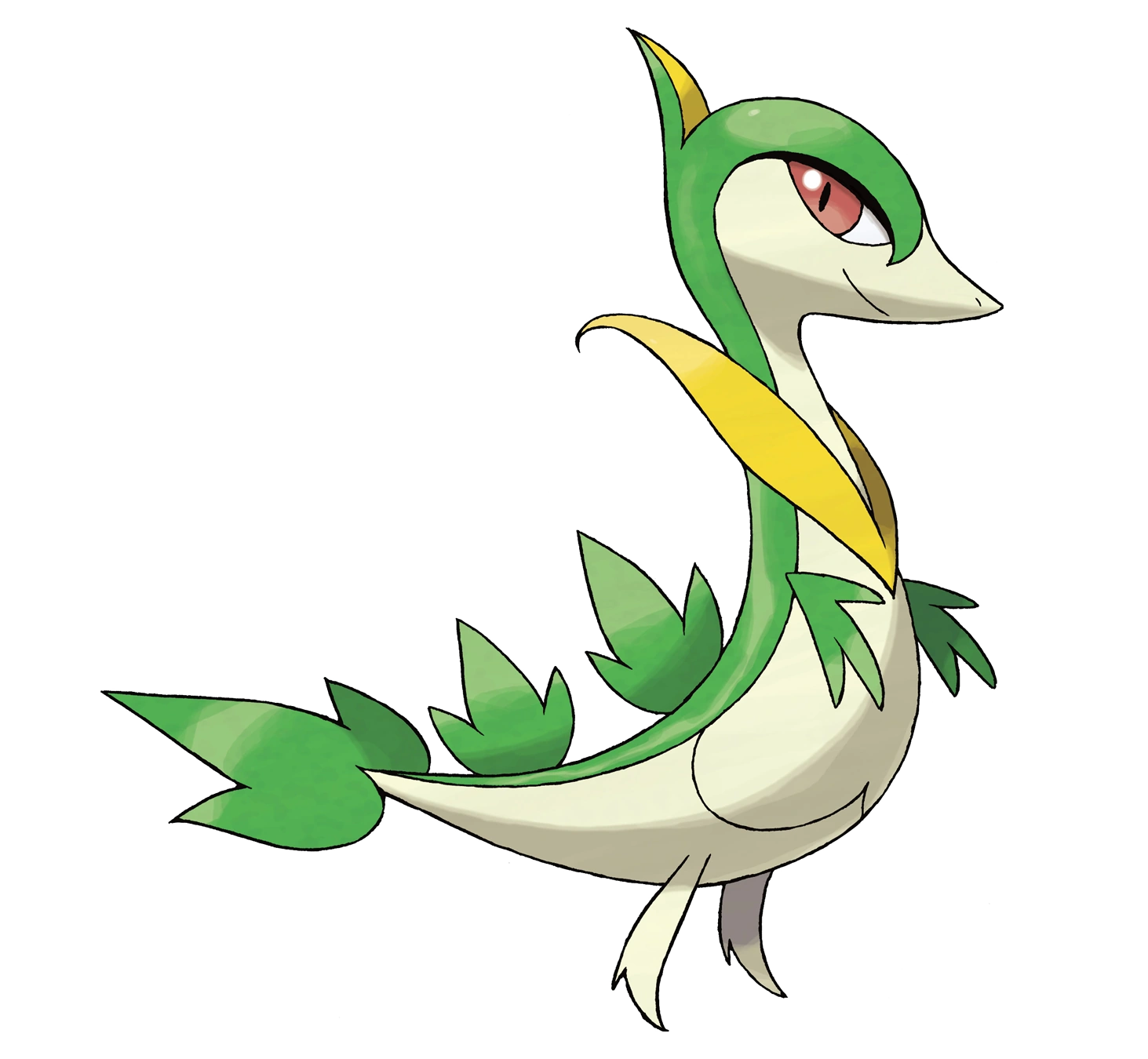 Snivy WikiDex Fandom powered by Wikia