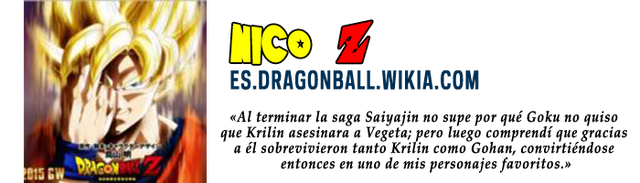 Archivo:Placa Nico.png