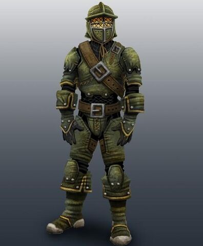 File:Hals Armour.jpg