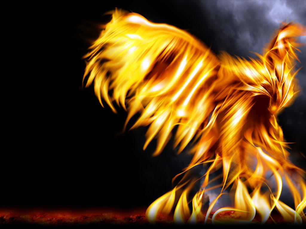 Fire Phoenix Fire Phoenix