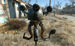 Los compañeros de Fallout 4 240?cb=20150616000527