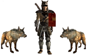 Legate of the west